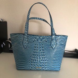 Blue Brahmin Brooke